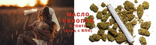 мдпв Нестеровская