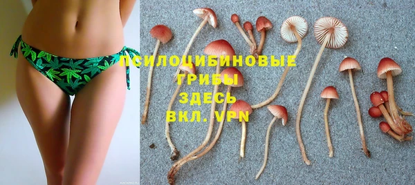 ПСИЛОЦИБИНОВЫЕ ГРИБЫ Карталы