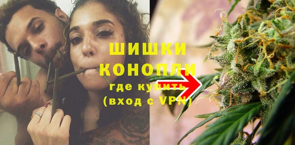 дмт Карпинск