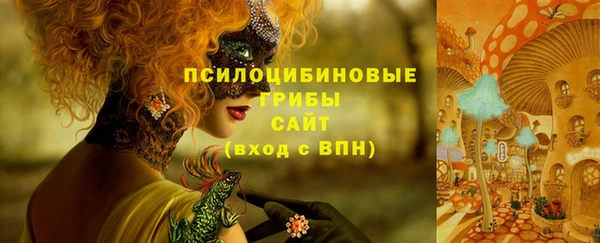 дмт Карпинск