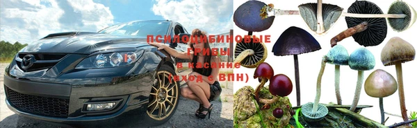 дмт Карпинск
