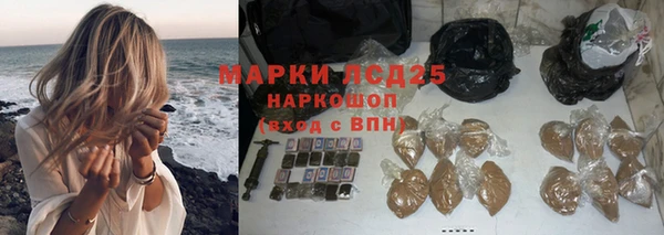 ПСИЛОЦИБИНОВЫЕ ГРИБЫ Карталы