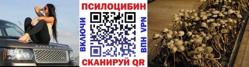 блэк спрут tor  Нефтекамск  маркетплейс телеграм  Галлюциногенные грибы Psilocybine cubensis 