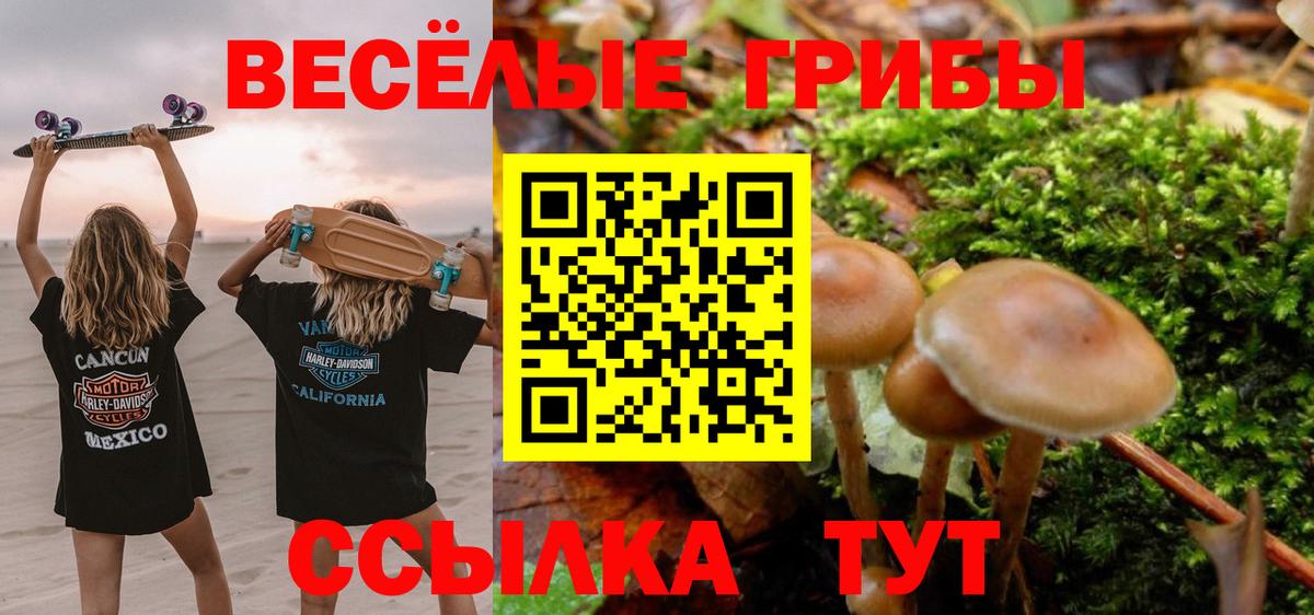 Галлюциногенные грибы MAGIC MUSHROOMS  Вход с VPN  Нефтекамск 